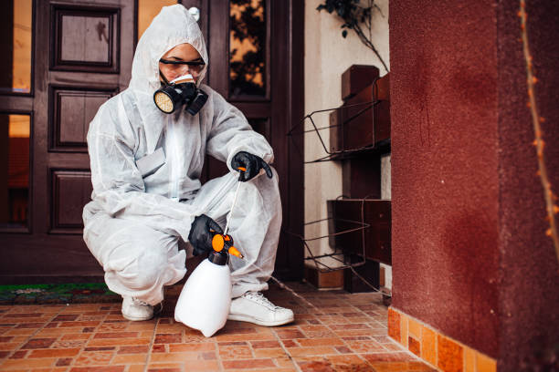 Reliable Cockroach Control contractor in Stuarts Draft, VA by Nex Pest Control